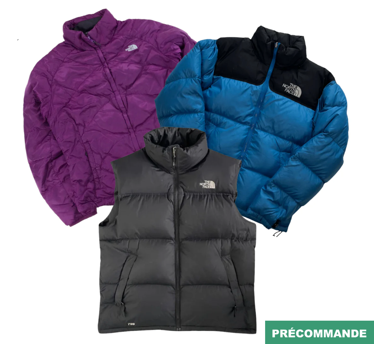 Pièces The North Face Puffer