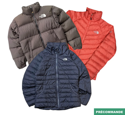 Pièces The North Face Puffer